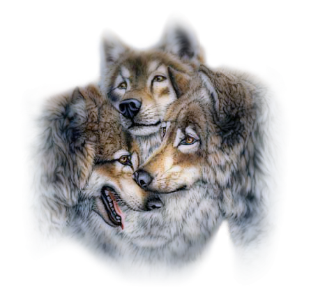 LOUPS PNG